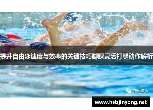 提升自由泳速度与效率的关键技巧脚踝灵活打腿动作解析