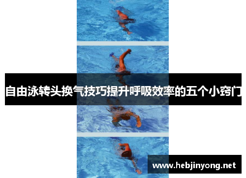 自由泳转头换气技巧提升呼吸效率的五个小窍门