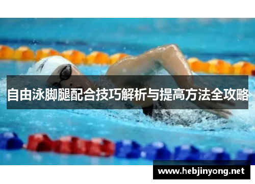 自由泳脚腿配合技巧解析与提高方法全攻略